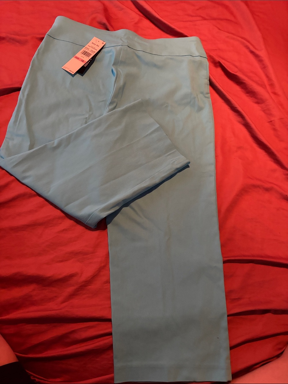 Ruby Rd. Pale Blue Capri Pants
